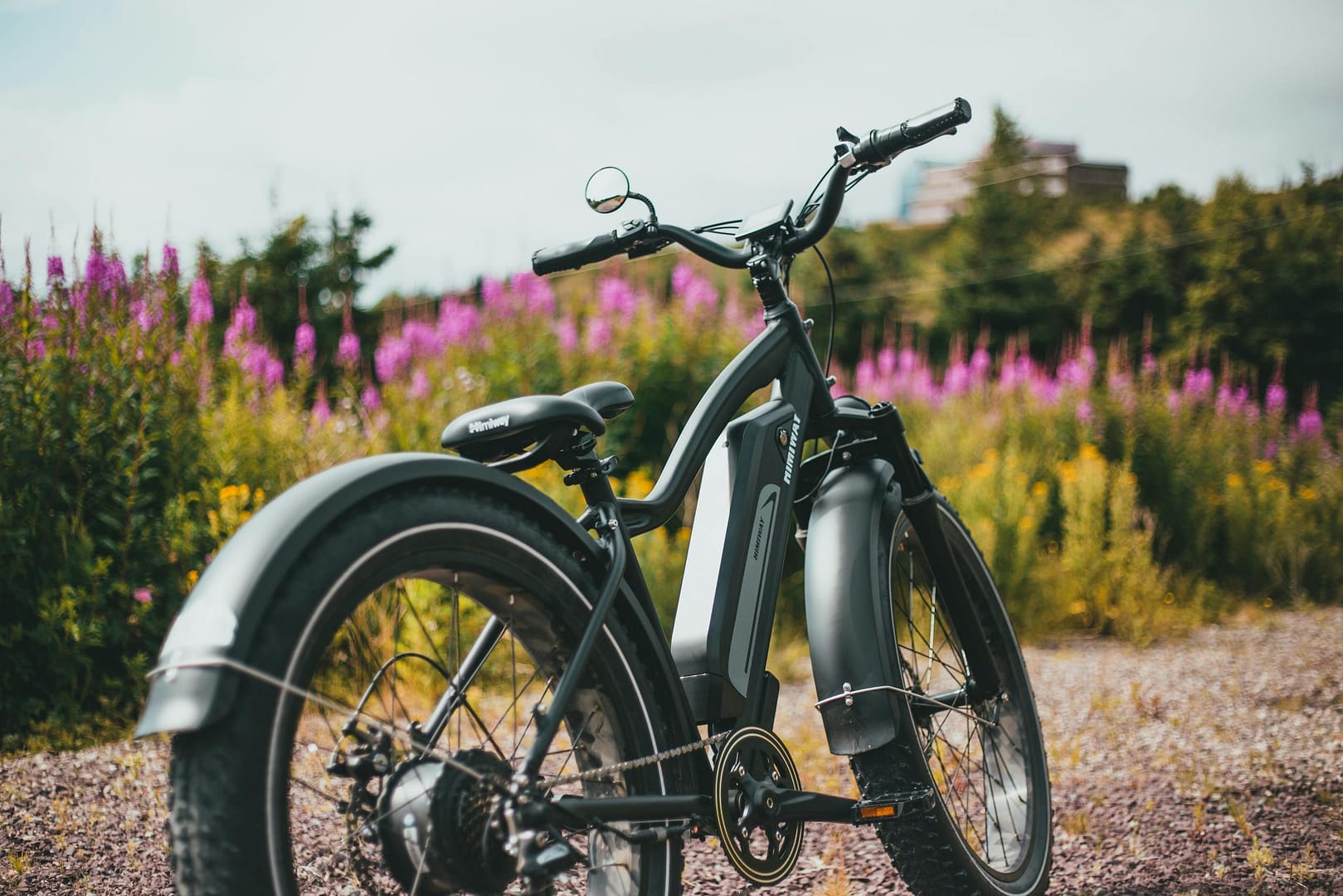 Close-up of a black electric bicycle parked outdoors in a vibrant wildflower field on a sunny day.