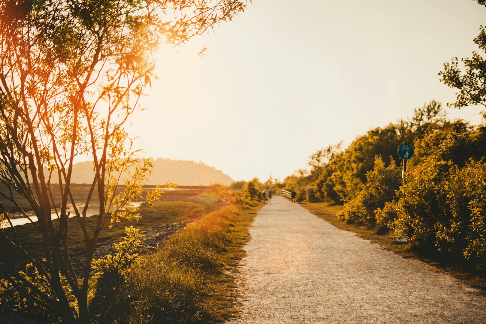 Golden sunlight bathes a tranquil pathway in the Welsh countryside, perfect for exploration.