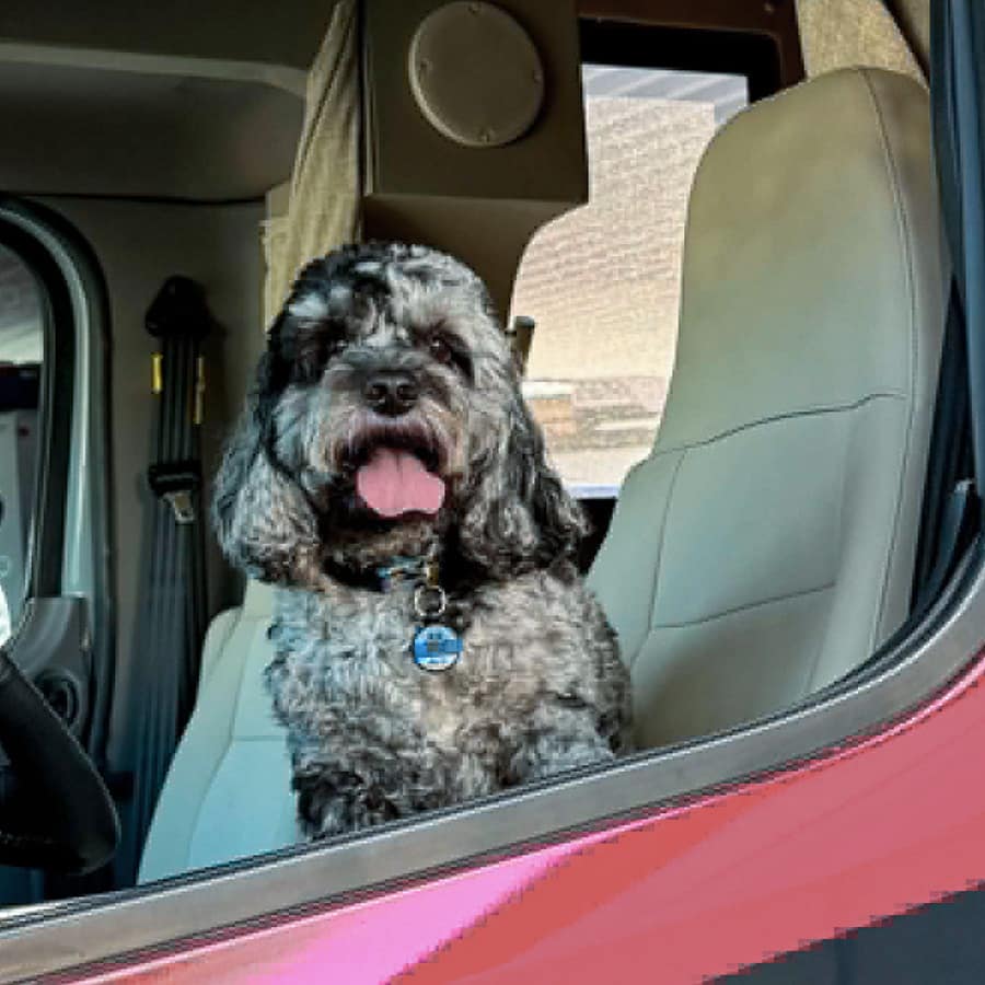 Dog in driver's seat of RV